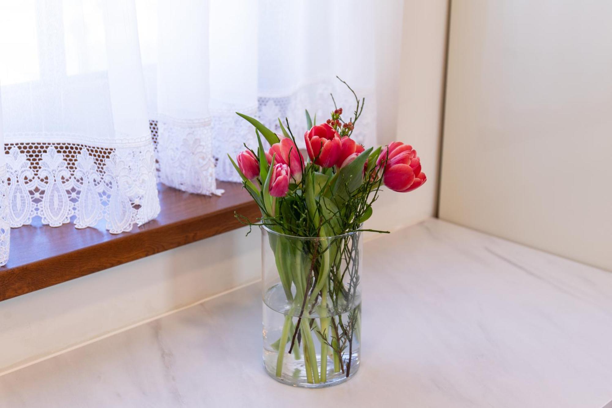 Superior Apartments Vito Μπλεντ Εξωτερικό φωτογραφία